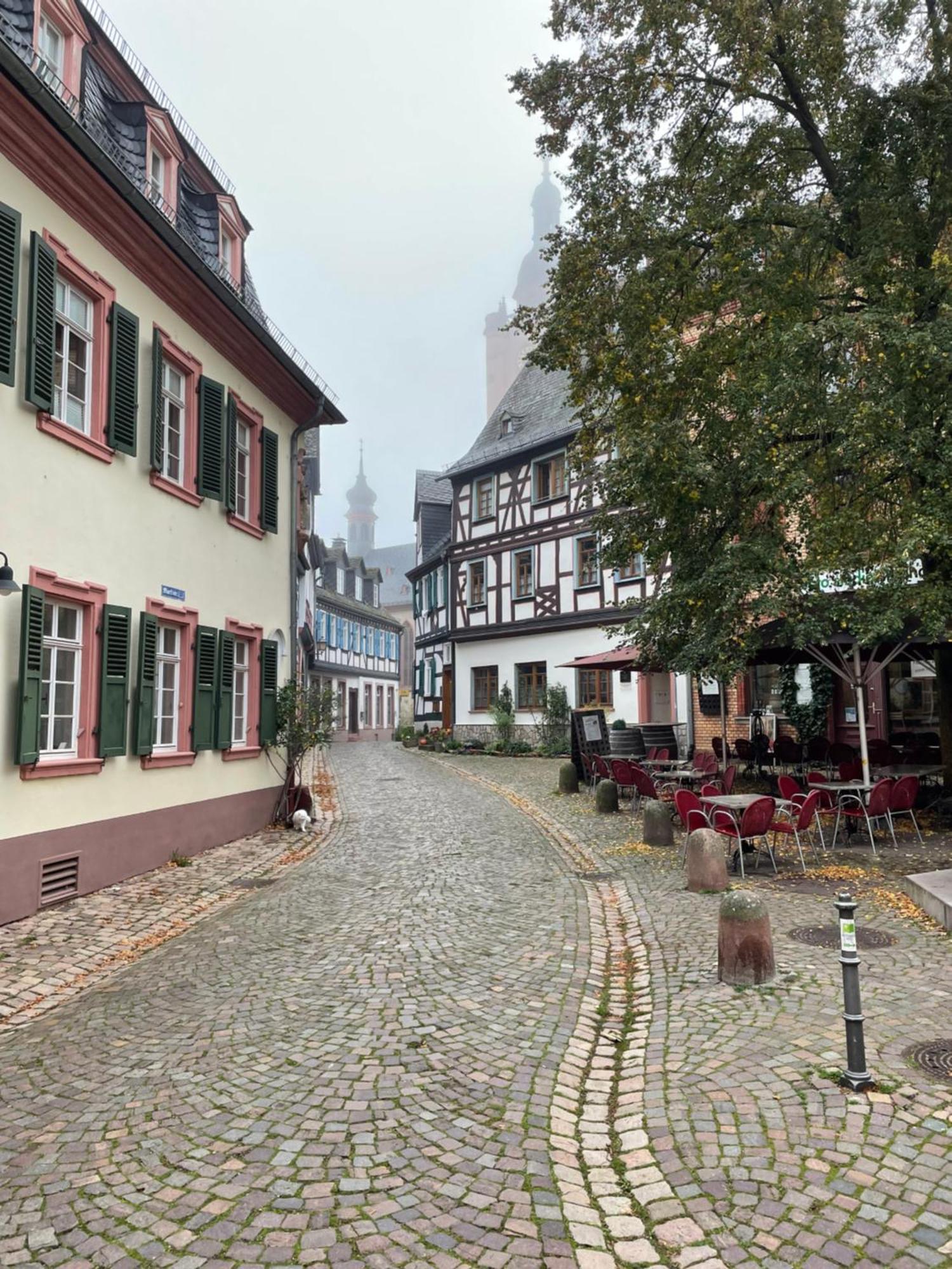 Alta Villa - Ferienwohnung Eltville am Rhein ภายนอก รูปภาพ